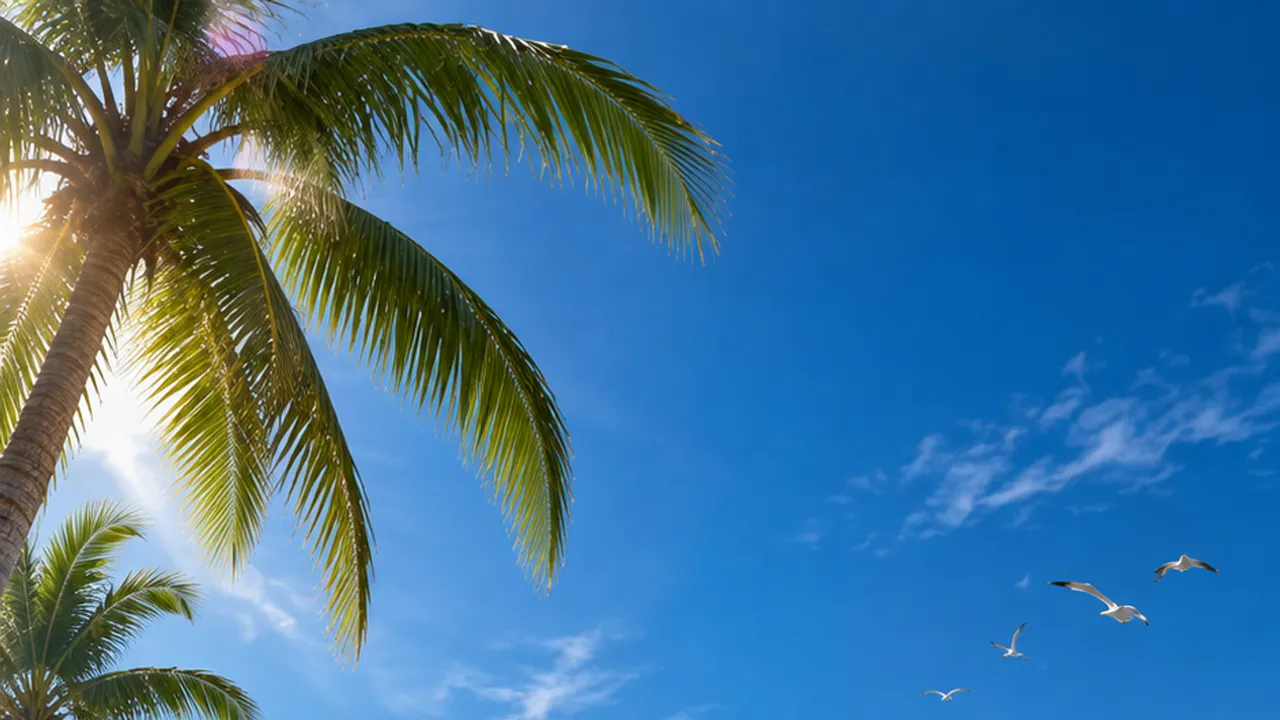 Cloud Drifter: El paisaje costero tropical del proyecto. Arte del proyecto · no es una captura del juego